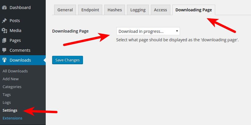 Set the newly created Downloading Page in your Download Monitor settings