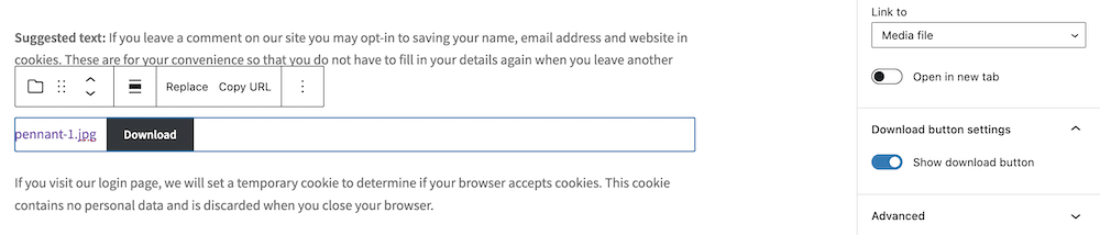Creating a download link within the WordPress Block Editor.