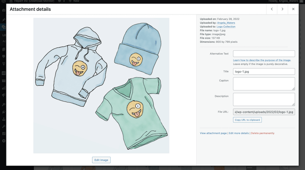 The attachment details for a WordPress asset.