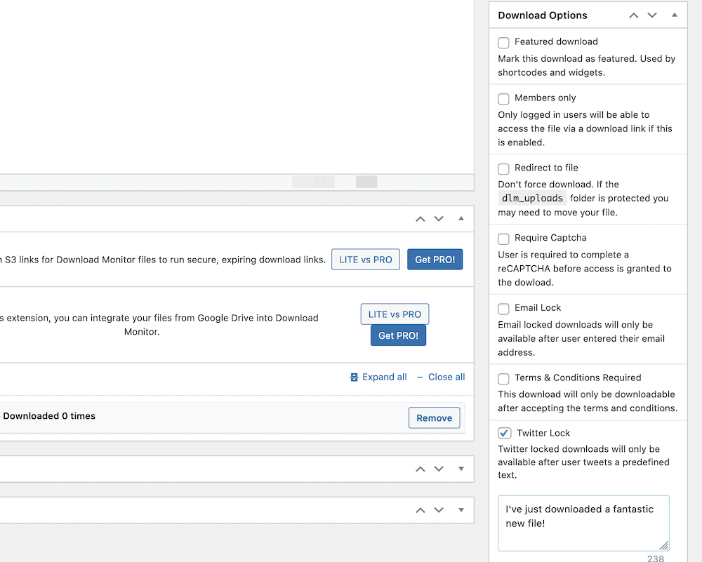 An Edit screen for a download, that shows a number of different ways to protect files within WordPress.