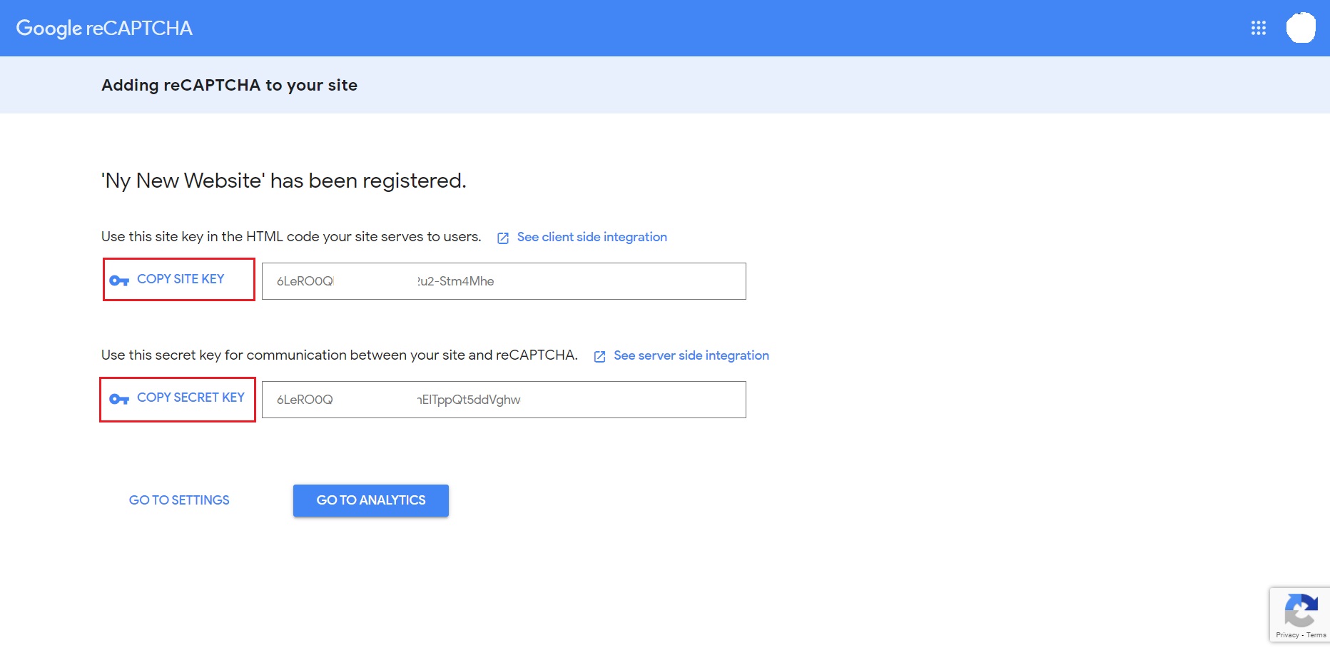 Copy Google reCaptcha keys